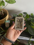 Prophecy Loose Incense Blend